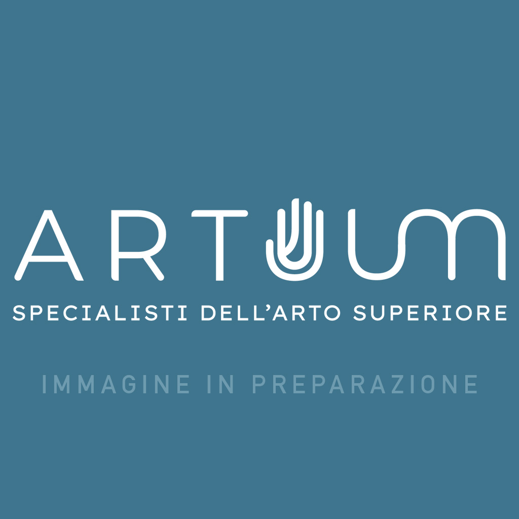 frattura radio ulna